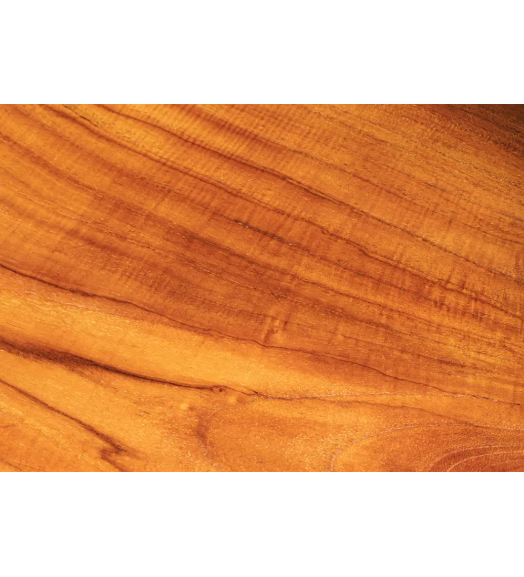 Ławka ROOT 100 cm drewno teak naturalny brąz*Invicta Interior New