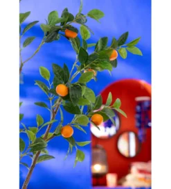 Drzewko sztuczne ORANGE 130 cm*J-Line Hot