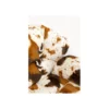 Fotel obrotowy CUTIE COW 85 cm*KARE New