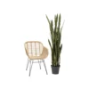 Kwiat sztuczny Sansewieria 155 cm*KDesign Best