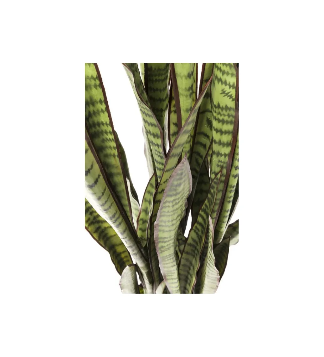 Kwiat sztuczny Sansewieria 155 cm*KDesign Best