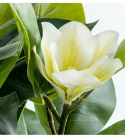 Magnolia sztuczna 100 cm*Exclusivas