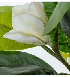 Magnolia sztuczna 100 cm*Exclusivas