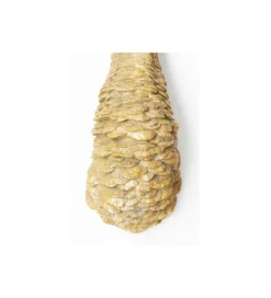 Ozdoba ścienna OSTRICH 18 x 71 cm złota*KDesign Hot