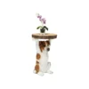 Stolik kawowy ANIMAL MR JACK 33 cm brązowy*KARE Sale