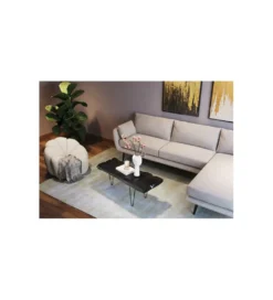 Stolik kawowy ASPEN 100 cm drewno teak czarny*KARE Sale