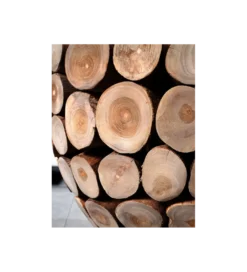 Stolik kawowy Pure Nature 70 cm drewno Teak*Invicta Interior Clearance