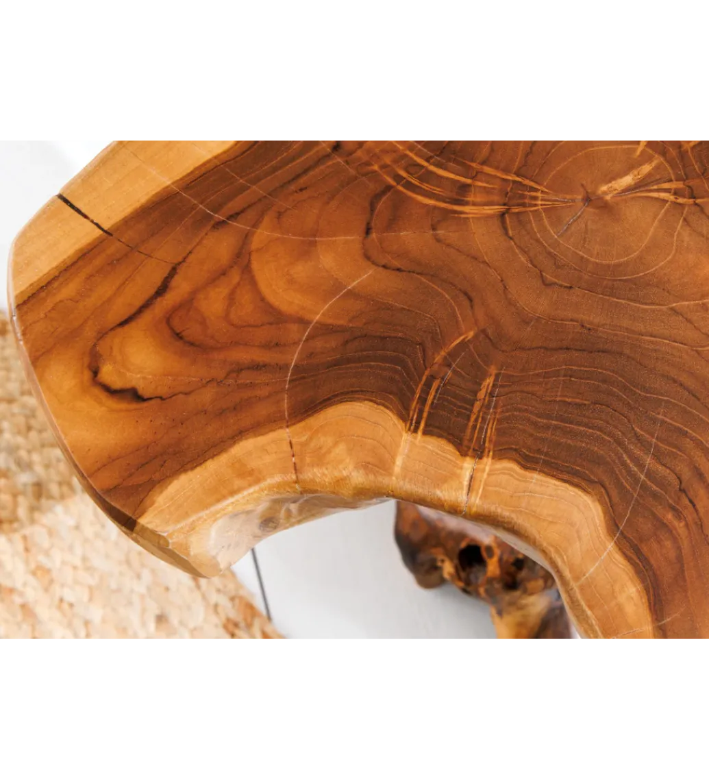 Stolik kawowy ROOT 40 cm drewno teak naturalny*Invicta Interior - przedsprzedaż New