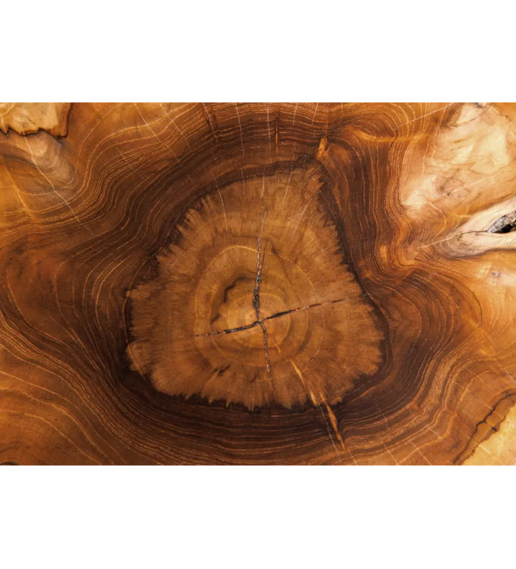 Stolik kawowy ROOT 70 cm drewno teak naturalny*Invicta Interior - przedsprzedaż