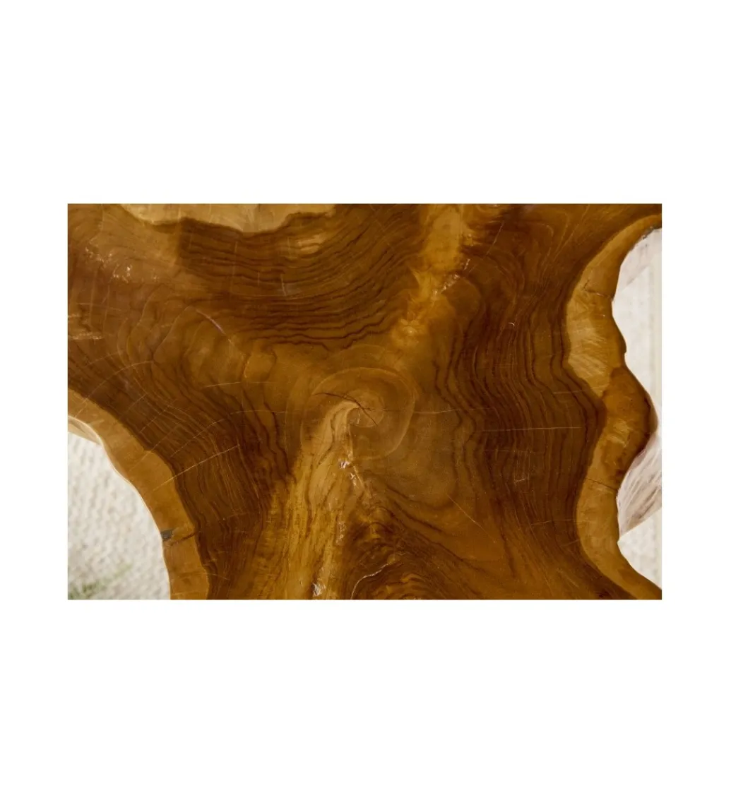 Stolik kawowy Wild Teak*Invicta Interior Sale