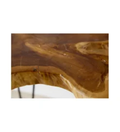 Stolik kawowy Wild Teak*Invicta Interior Sale