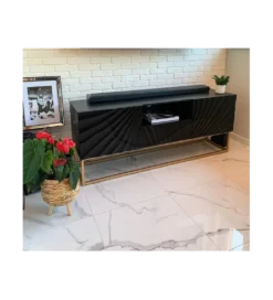 Stolik pod TV ZEUS Scorpion 160 cm drewno mango*Invicta Interior Sale