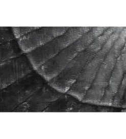 Szafka nocna ZEUS Scorpion 50 cm drewno mango*Invicta Interior Outlet