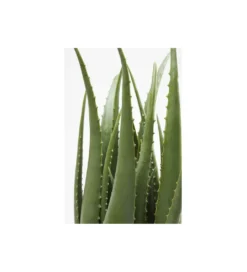 Sztuczna roślina ALOES 69 cm*KDesign Best