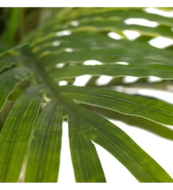 Sztuczna roślina ARECA 189 cm*Zona-Design Hot