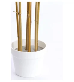 Sztuczna roślina BAMBOO 150 cm naturalne kremowe*Imeri Clearance