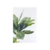 Sztuczna roślina CALATHEA 140 cm*KDesign Discount