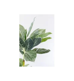 Sztuczna roślina CALATHEA 140 cm*KDesign Discount