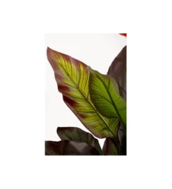 Sztuczna roślina CANNA LILY 115 cm*KDesign Hot