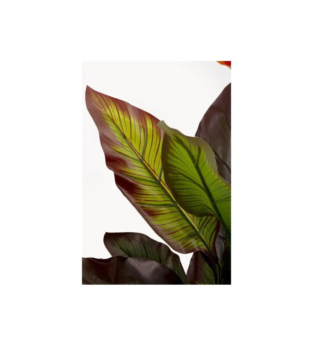 Sztuczna roślina CANNA LILY 115 cm*KDesign Hot