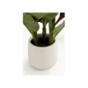 Sztuczna roślina CANNA LILY 165 cm*KDesign Hot