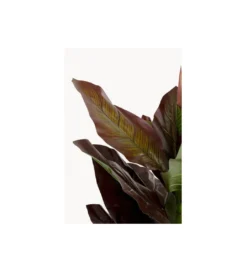 Sztuczna roślina CANNA LILY 165 cm*KDesign Hot