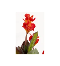 Sztuczna roślina CANNA LILY 165 cm*KDesign Hot