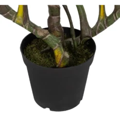 Sztuczna roślina COLOCASIA 185 cm*Zona-Design Outlet