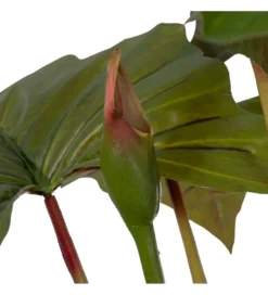 Sztuczna roślina COLOCASIA 185 cm*Zona-Design Outlet