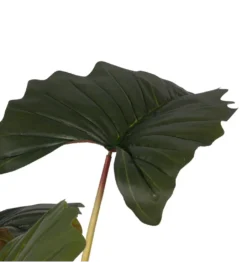 Sztuczna roślina COLOCASIA 185 cm*Zona-Design Outlet