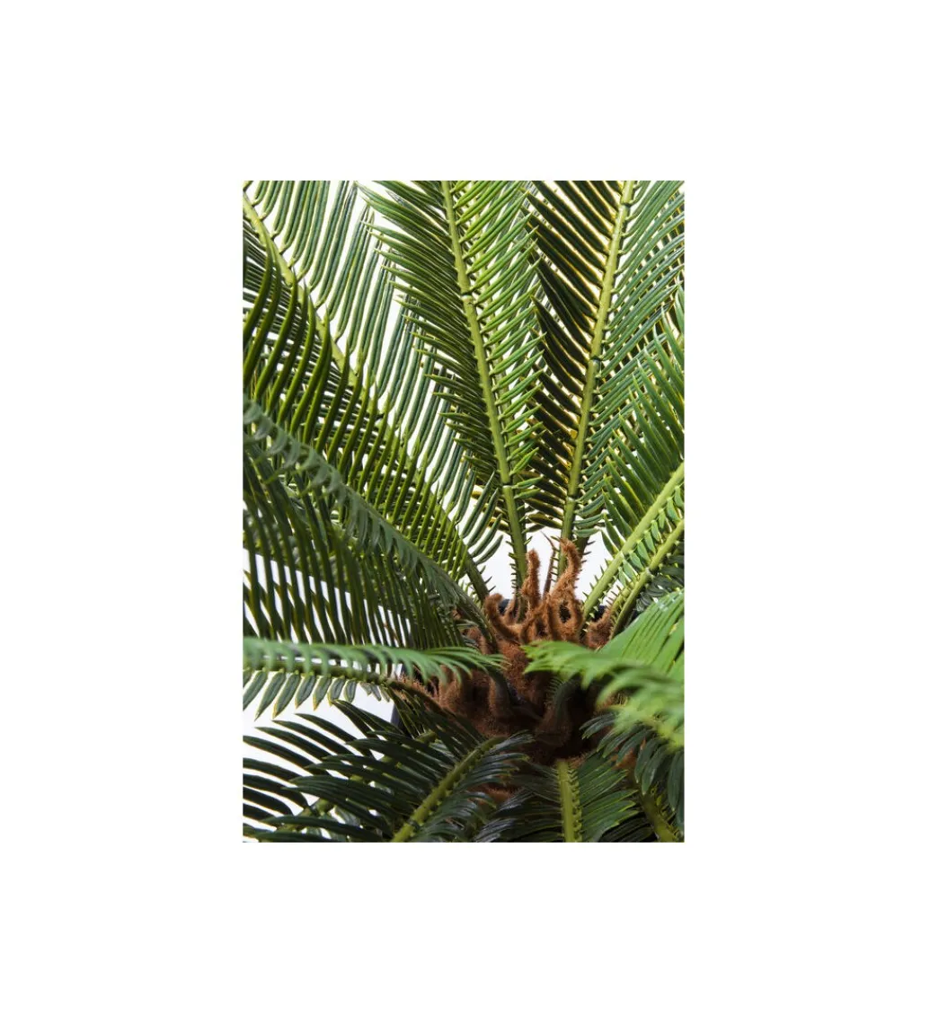 Sztuczna roślina CUCAS TREE 78 cm*KDesign Outlet