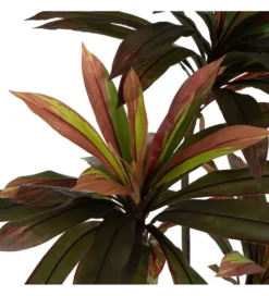 Sztuczna roślina DRACAENA 165 cm*Zona-Design