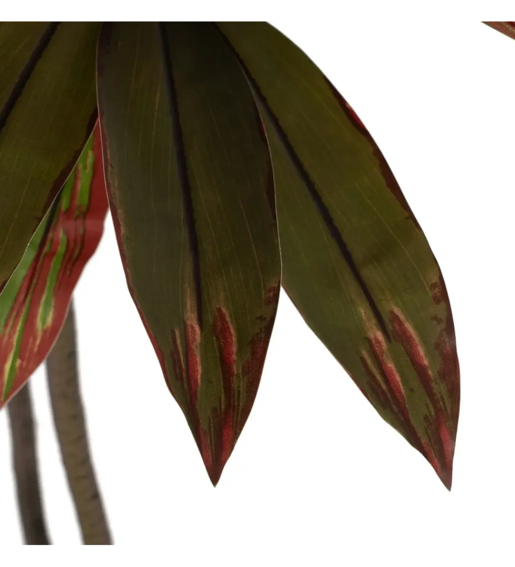 Sztuczna roślina DRACAENA 165 cm*Zona-Design