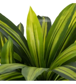 Sztuczna roślina DRACAENA 110 cm*Zona-Design Online