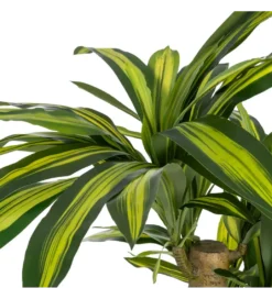 Sztuczna roślina DRACAENA 140 cm*Zona-Design Sale