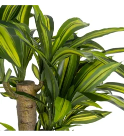 Sztuczna roślina DRACAENA 140 cm*Zona-Design Sale