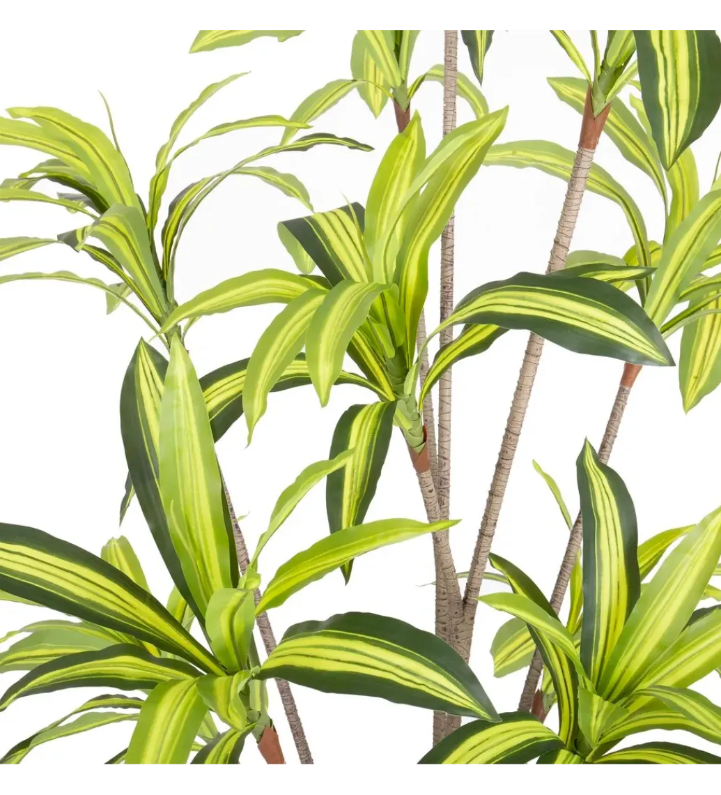 Sztuczna roślina DRACENA 210 cm*Zona-Design Clearance