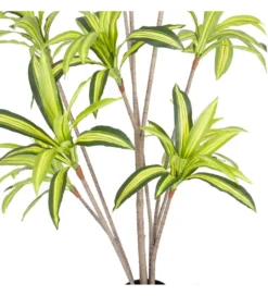 Sztuczna roślina DRACENA 210 cm*Zona-Design Clearance