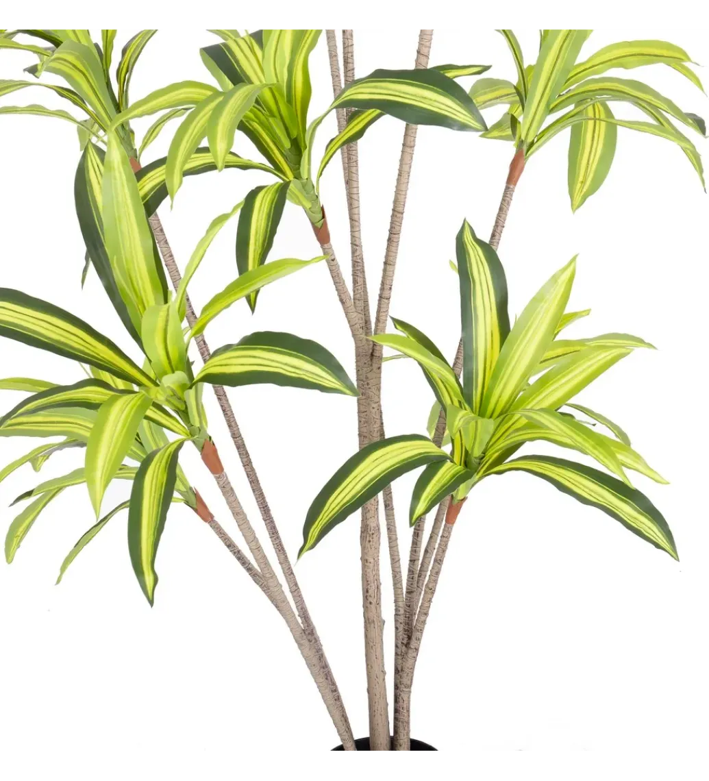 Sztuczna roślina DRACENA 210 cm*Zona-Design Clearance