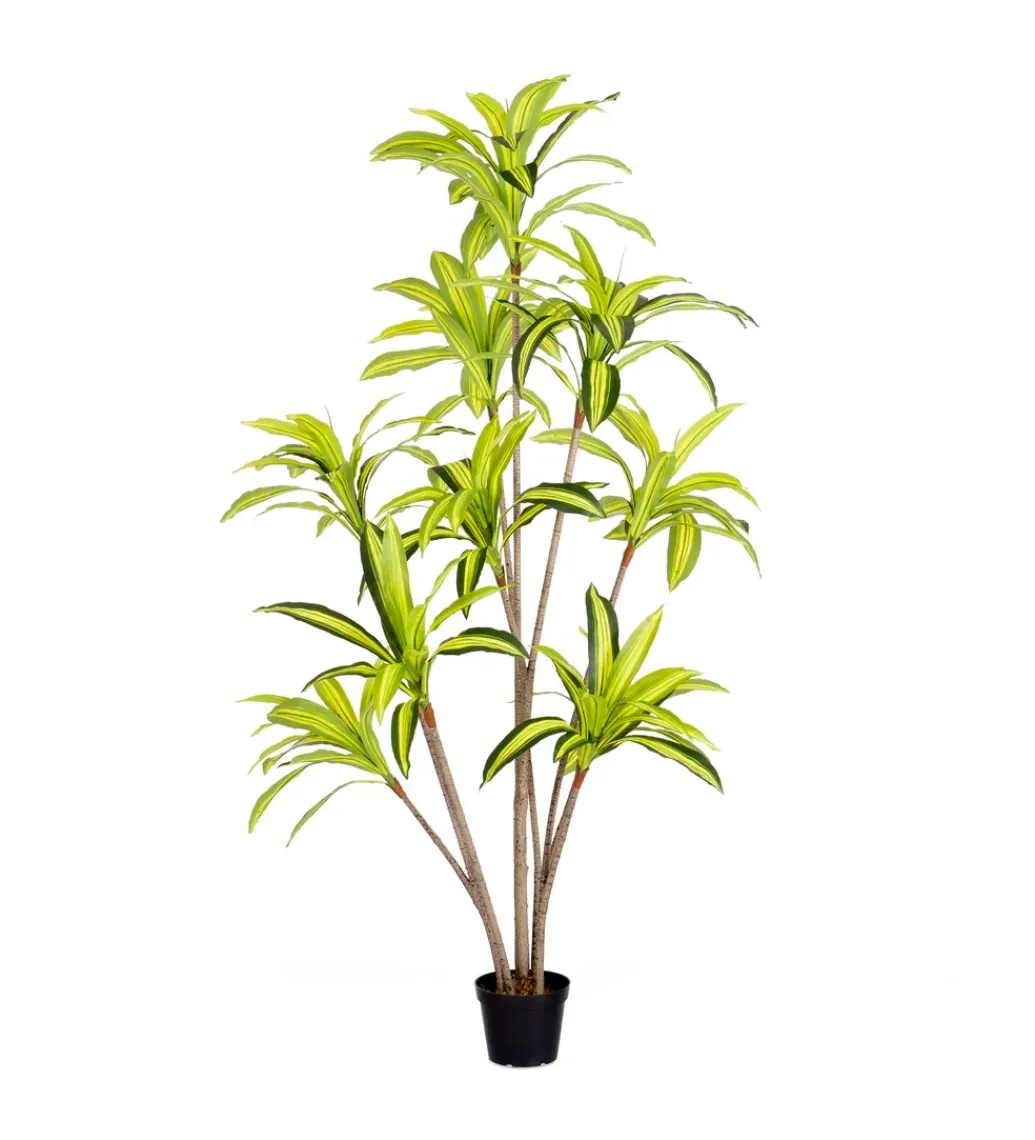 Sztuczna roślina DRACENA 210 cm*Zona-Design Clearance