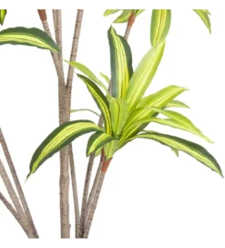 Sztuczna roślina DRACENA 210 cm*Zona-Design Clearance