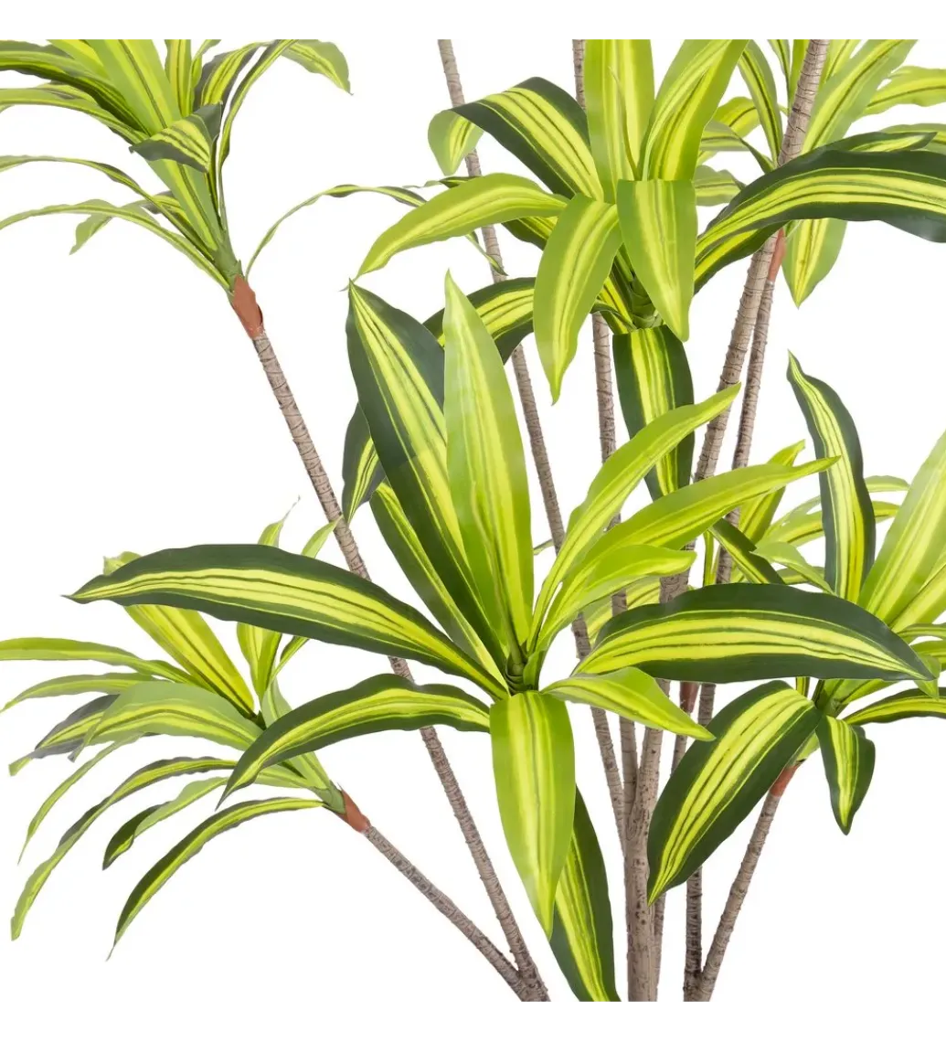 Sztuczna roślina DRACENA 210 cm*Zona-Design Clearance