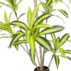 Sztuczna roślina DRACENA 180 cm*Zona-Design Clearance