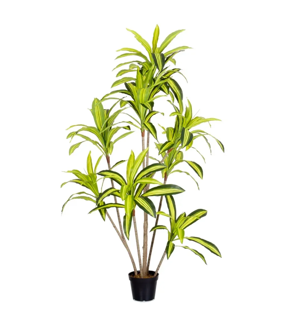Sztuczna roślina DRACENA 180 cm*Zona-Design Clearance