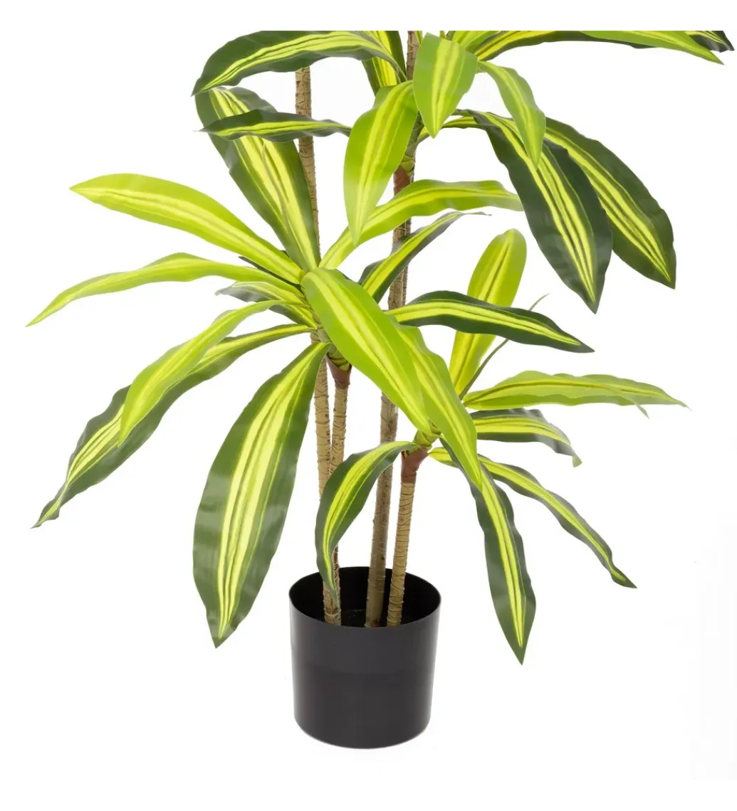 Sztuczna roślina DRACENA 180 cm*Zona-Design Clearance