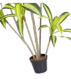 Sztuczna roślina DRACENA 180 cm*Zona-Design Clearance