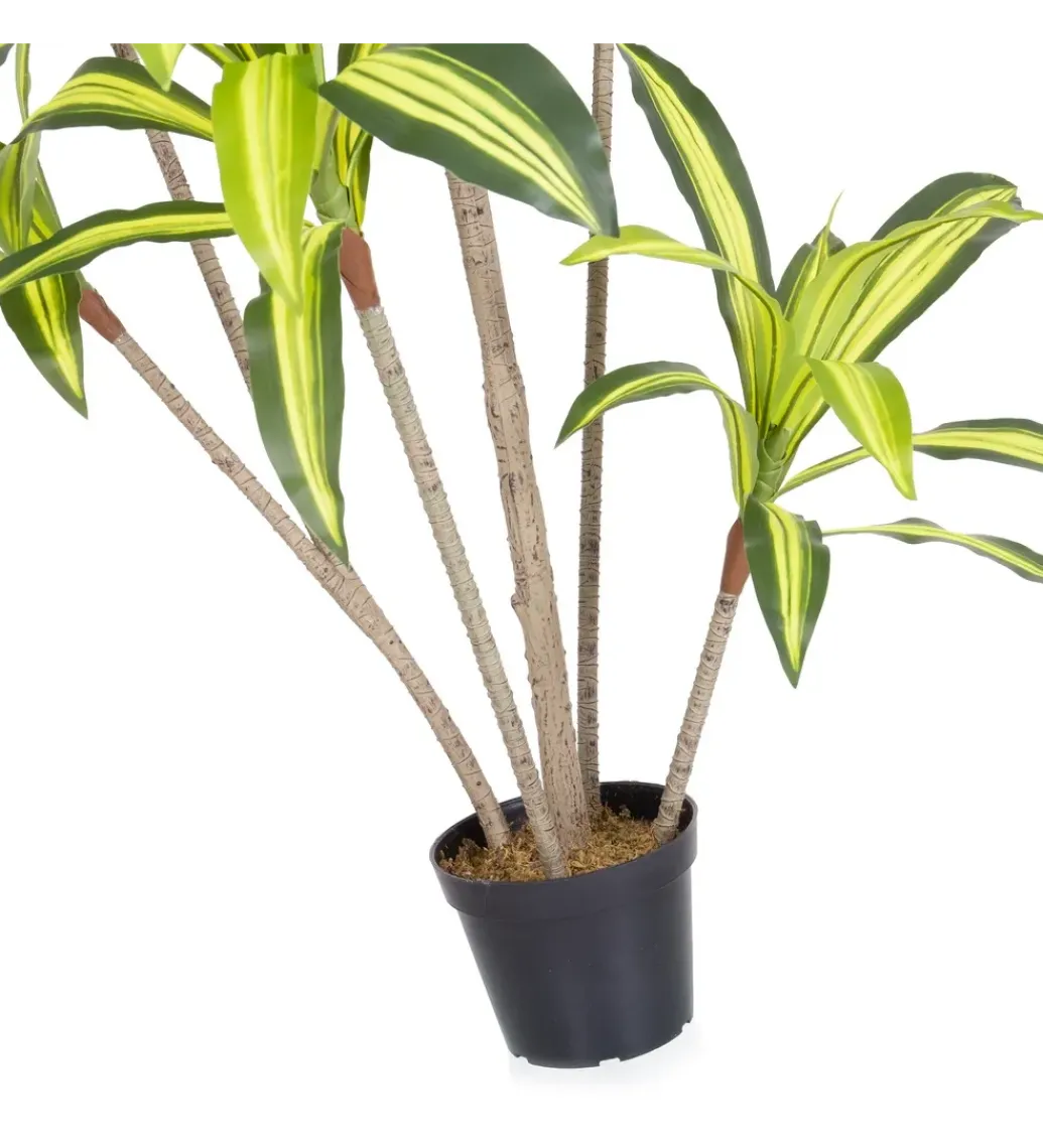 Sztuczna roślina DRACENA 180 cm*Zona-Design Clearance