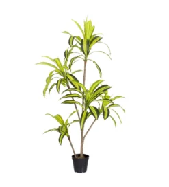 Sztuczna roślina DRACENA 150 cm*Zona-Design Online