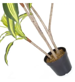 Sztuczna roślina DRACENA 150 cm*Zona-Design Online