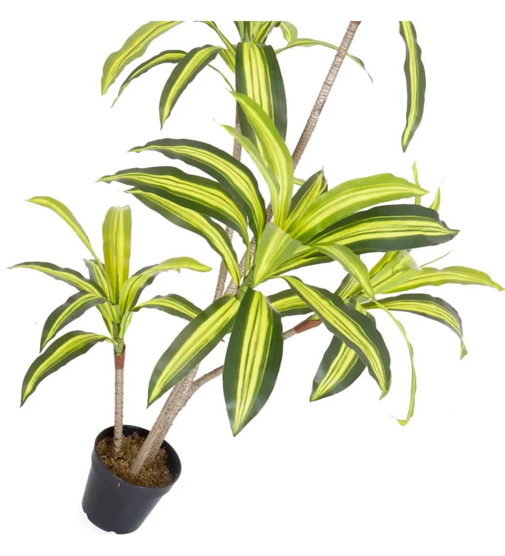 Sztuczna roślina DRACENA 150 cm*Zona-Design Online